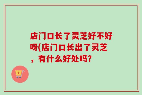 店门口长了灵芝好不好呀(店门口长出了灵芝，有什么好处吗？-第1张图片-卓越灵芝孢子粉