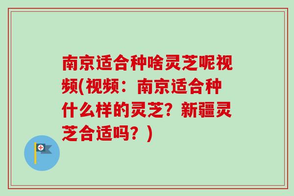南京适合种啥灵芝呢视频(视频:南京适合种什么样的灵芝?新疆灵芝合适吗?)-第1张图片-卓越灵芝孢子粉 南京适合种啥灵芝呢视频(视频:南京适合种什么样的灵芝?新疆灵芝合适吗?)-第1张图片-卓越灵芝孢子粉