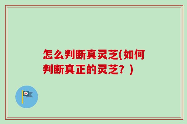 怎么判断真灵芝(如何判断真正的灵芝?)-第1张图片-卓越灵芝孢子粉 怎么判断真灵芝(如何判断真正的灵芝?)-第1张图片-卓越灵芝孢子粉