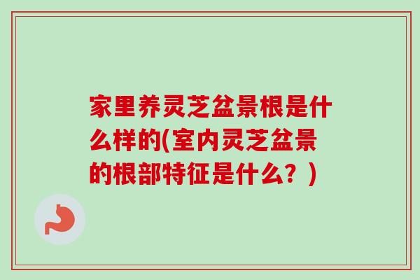 家里养灵芝盆景根是什么样的(室内灵芝盆景的根部特征是什么?)-第1张图片-卓越灵芝孢子粉 家里养灵芝盆景根是什么样的(室内灵芝盆景的根部特征是什么?)-第1张图片-卓越灵芝孢子粉