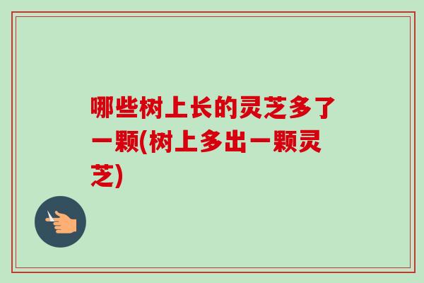 哪些树上长的灵芝多了一颗(树上多出一颗灵芝)-第1张图片-卓越灵芝孢子粉 哪些树上长的灵芝多了一颗(树上多出一颗灵芝)-第1张图片-卓越灵芝孢子粉