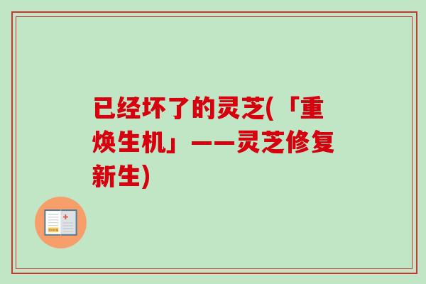 已经坏了的灵芝(「重焕生机」——灵芝修复新生)-第1张图片-卓越灵芝孢子粉 已经坏了的灵芝(「重焕生机」——灵芝修复新生)-第1张图片-卓越灵芝孢子粉