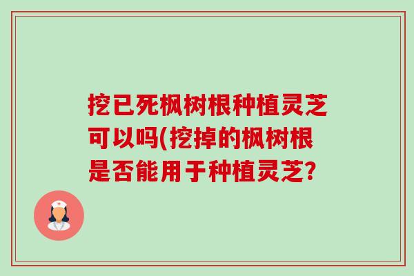 挖已死枫树根种植灵芝可以吗(挖掉的枫树根是否能用于种植灵芝?-第1张图片-卓越灵芝孢子粉 挖已死枫树根种植灵芝可以吗(挖掉的枫树根是否能用于种植灵芝?-第1张图片-卓越灵芝孢子粉