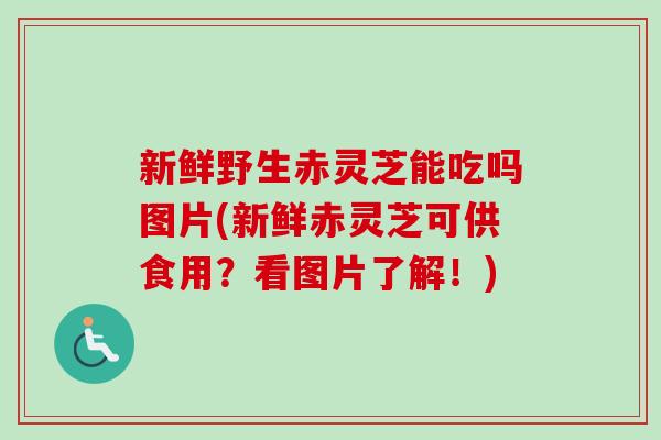 新鲜野生赤灵芝能吃吗图片(新鲜赤灵芝可供食用？看图片了解！)-第1张图片-卓越灵芝孢子粉