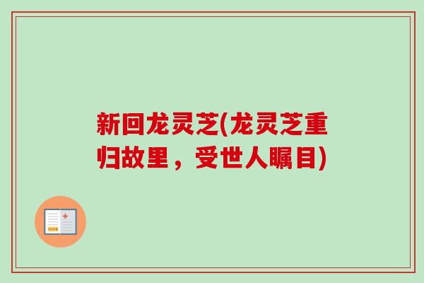 新回龙灵芝(龙灵芝重归故里,受世人瞩目)-第1张图片-卓越灵芝孢子粉 新回龙灵芝(龙灵芝重归故里,受世人瞩目)-第1张图片-卓越灵芝孢子粉