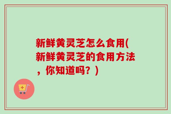 新鲜黄灵芝怎么食用(新鲜黄灵芝的食用方法,你知道吗?)-第1张图片-卓越灵芝孢子粉 新鲜黄灵芝怎么食用(新鲜黄灵芝的食用方法,你知道吗?)-第1张图片-卓越灵芝孢子粉
