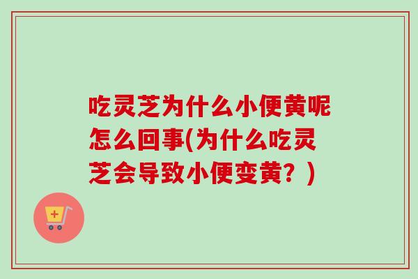 吃灵芝为什么小便黄呢怎么回事(为什么吃灵芝会导致小便变黄?)-第1张图片-卓越灵芝孢子粉 吃灵芝为什么小便黄呢怎么回事(为什么吃灵芝会导致小便变黄?)-第1张图片-卓越灵芝孢子粉
