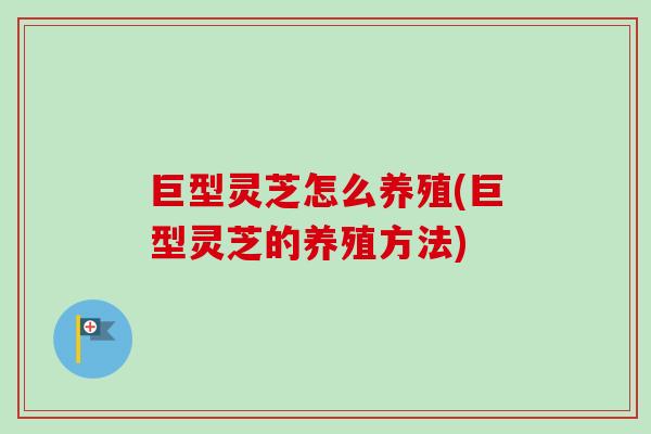 巨型灵芝怎么养殖(巨型灵芝的养殖方法)-第1张图片-卓越灵芝孢子粉 巨型灵芝怎么养殖(巨型灵芝的养殖方法)-第1张图片-卓越灵芝孢子粉