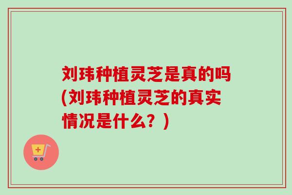 刘玮种植灵芝是真的吗(刘玮种植灵芝的真实情况是什么?)-第1张图片-卓越灵芝孢子粉 刘玮种植灵芝是真的吗(刘玮种植灵芝的真实情况是什么?)-第1张图片-卓越灵芝孢子粉