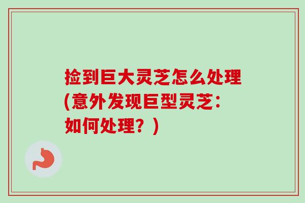捡到巨大灵芝怎么处理(意外发现巨型灵芝：如何处理？)-第1张图片-卓越灵芝孢子粉