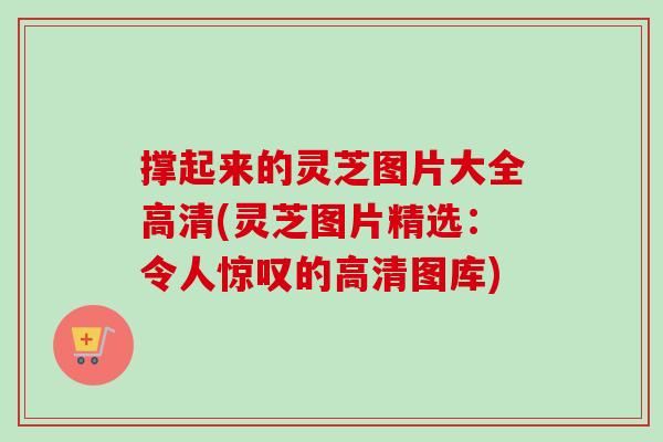 撑起来的灵芝图片大全高清(灵芝图片精选：令人惊叹的高清图库)-第1张图片-卓越灵芝孢子粉