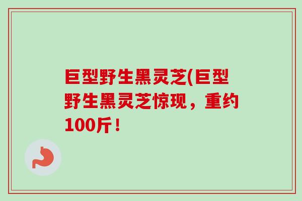 巨型野生黑灵芝(巨型野生黑灵芝惊现，重约100斤！-第1张图片-卓越灵芝孢子粉