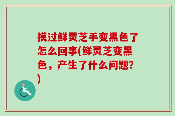 摸过鲜灵芝手变黑色了怎么回事(鲜灵芝变黑色,产生了什么问题?)-第1张图片-卓越灵芝孢子粉 摸过鲜灵芝手变黑色了怎么回事(鲜灵芝变黑色,产生了什么问题?)-第1张图片-卓越灵芝孢子粉