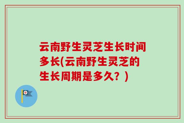 云南野生灵芝生长时间多长(云南野生灵芝的生长周期是多久?)-第1张图片-卓越灵芝孢子粉 云南野生灵芝生长时间多长(云南野生灵芝的生长周期是多久?)-第1张图片-卓越灵芝孢子粉