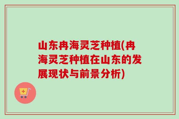 山东冉海灵芝种植(冉海灵芝种植在山东的发展现状与前景分析)-第1张图片-卓越灵芝孢子粉