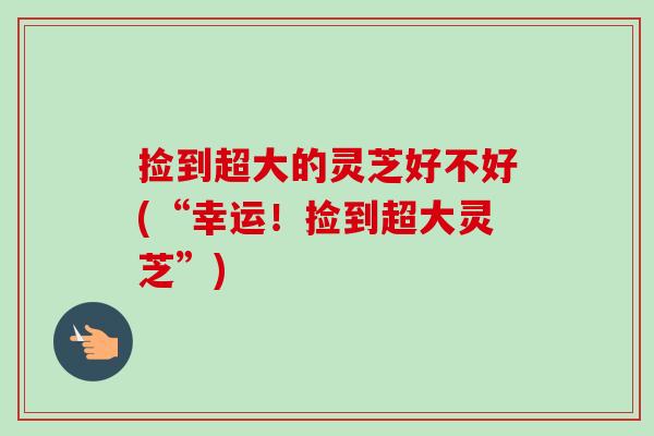 捡到超大的灵芝好不好(“幸运!捡到超大灵芝”)-第1张图片-卓越灵芝孢子粉 捡到超大的灵芝好不好(“幸运!捡到超大灵芝”)-第1张图片-卓越灵芝孢子粉