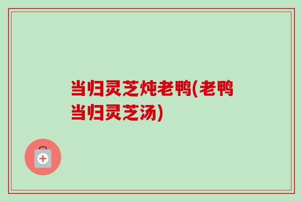 当归灵芝炖老鸭(老鸭当归灵芝汤)-第1张图片-卓越灵芝孢子粉