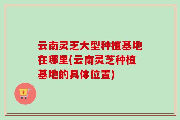 云南灵芝大型种植基地在哪里(云南灵芝种植基地的具体位置)-第1张图片-卓越灵芝孢子粉 云南灵芝大型种植基地在哪里(云南灵芝种植基地的具体位置)-第1张图片-卓越灵芝孢子粉