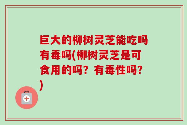 巨大的柳树灵芝能吃吗有毒吗(柳树灵芝是可食用的吗?有毒性吗?)-第1张图片-卓越灵芝孢子粉 巨大的柳树灵芝能吃吗有毒吗(柳树灵芝是可食用的吗?有毒性吗?)-第1张图片-卓越灵芝孢子粉