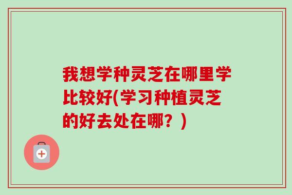 我想学种灵芝在哪里学比较好(学习种植灵芝的好去处在哪?)-第1张图片-卓越灵芝孢子粉 我想学种灵芝在哪里学比较好(学习种植灵芝的好去处在哪?)-第1张图片-卓越灵芝孢子粉