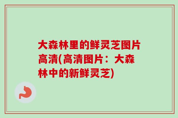 大森林里的鲜灵芝图片高清(高清图片:大森林中的新鲜灵芝)-第1张图片-卓越灵芝孢子粉 大森林里的鲜灵芝图片高清(高清图片:大森林中的新鲜灵芝)-第1张图片-卓越灵芝孢子粉