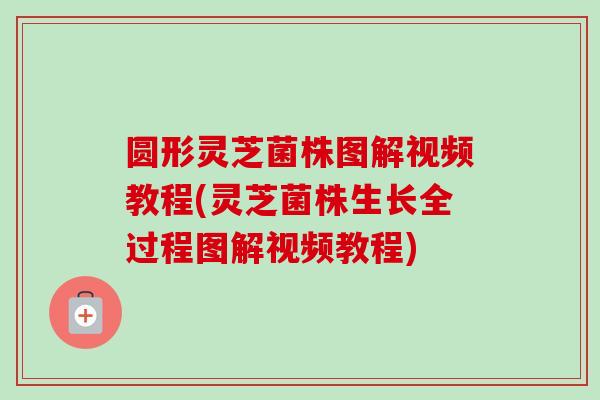 圆形灵芝菌株图解视频教程(灵芝菌株生长全过程图解视频教程)-第1张图片-卓越灵芝孢子粉 圆形灵芝菌株图解视频教程(灵芝菌株生长全过程图解视频教程)-第1张图片-卓越灵芝孢子粉