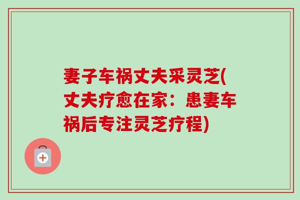 妻子车祸丈夫采灵芝(丈夫疗愈在家:患妻车祸后专注灵芝疗程)-第1张图片-卓越灵芝孢子粉 妻子车祸丈夫采灵芝(丈夫疗愈在家:患妻车祸后专注灵芝疗程)-第1张图片-卓越灵芝孢子粉