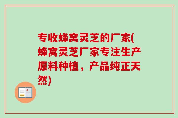 专收蜂窝灵芝的厂家(蜂窝灵芝厂家专注生产原料种植,产品纯正天然)-第1张图片-卓越灵芝孢子粉 专收蜂窝灵芝的厂家(蜂窝灵芝厂家专注生产原料种植,产品纯正天然)-第1张图片-卓越灵芝孢子粉