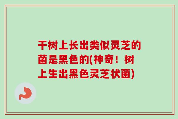干树上长出类似灵芝的菌是黑色的(神奇!树上生出黑色灵芝状菌)-第1张图片-卓越灵芝孢子粉 干树上长出类似灵芝的菌是黑色的(神奇!树上生出黑色灵芝状菌)-第1张图片-卓越灵芝孢子粉