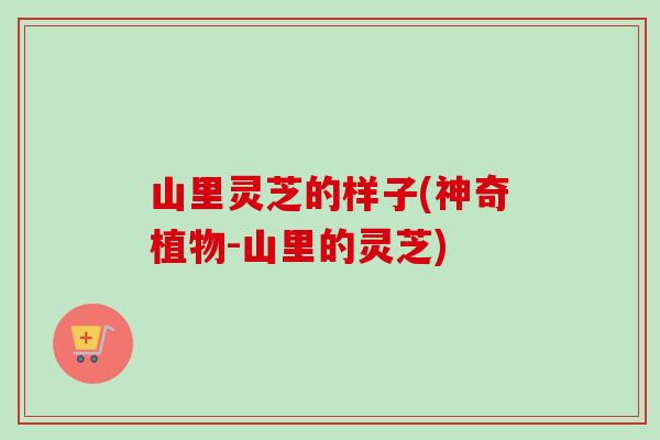 山里灵芝的样子(神奇植物-山里的灵芝)-第1张图片-卓越灵芝孢子粉 山里灵芝的样子(神奇植物-山里的灵芝)-第1张图片-卓越灵芝孢子粉