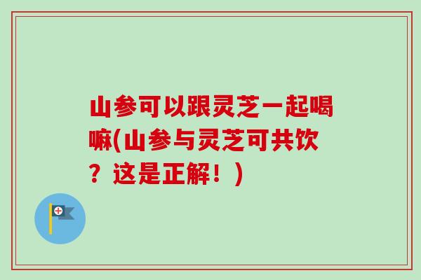 山参可以跟灵芝一起喝嘛(山参与灵芝可共饮?这是正解!)-第1张图片-卓越灵芝孢子粉 山参可以跟灵芝一起喝嘛(山参与灵芝可共饮?这是正解!)-第1张图片-卓越灵芝孢子粉