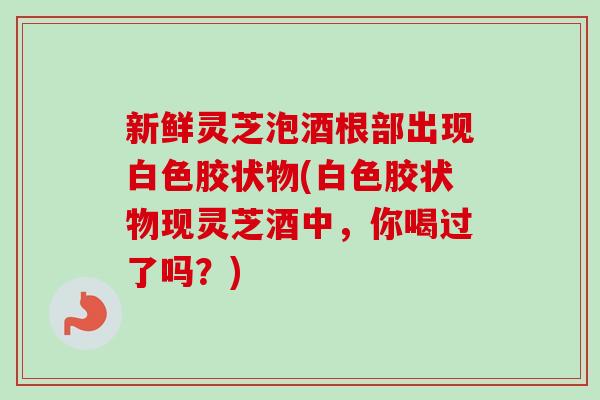 新鲜灵芝泡酒根部出现白色胶状物(白色胶状物现灵芝酒中,你喝过了吗?)-第1张图片-卓越灵芝孢子粉 新鲜灵芝泡酒根部出现白色胶状物(白色胶状物现灵芝酒中,你喝过了吗?)-第1张图片-卓越灵芝孢子粉