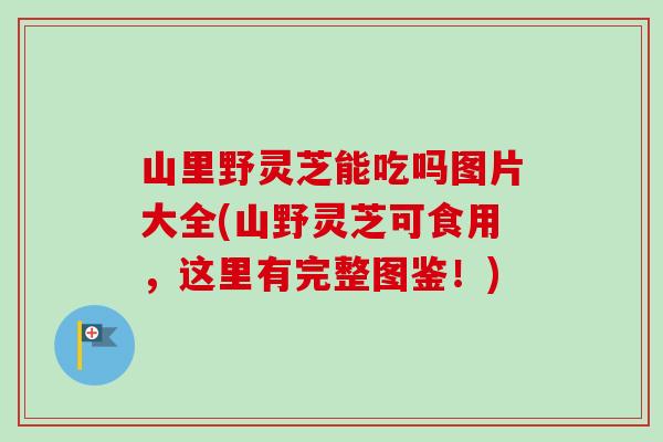 山里野灵芝能吃吗图片大全(山野灵芝可食用,这里有完整图鉴!)-第1张图片-卓越灵芝孢子粉 山里野灵芝能吃吗图片大全(山野灵芝可食用,这里有完整图鉴!)-第1张图片-卓越灵芝孢子粉