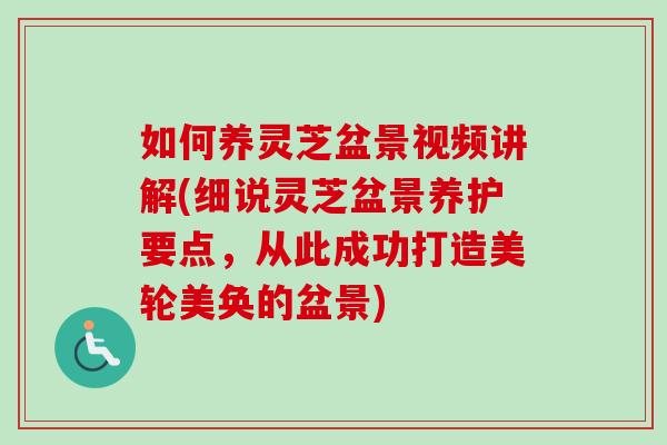 如何养灵芝盆景视频讲解(细说灵芝盆景养护要点，从此成功打造美轮美奂的盆景)-第1张图片-卓越灵芝孢子粉