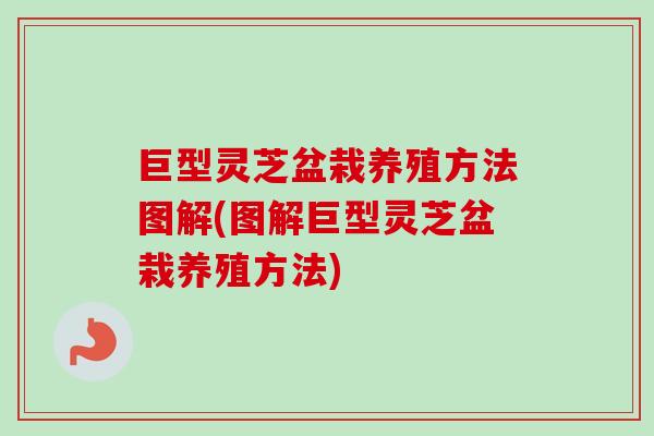 巨型灵芝盆栽养殖方法图解(图解巨型灵芝盆栽养殖方法)-第1张图片-卓越灵芝孢子粉