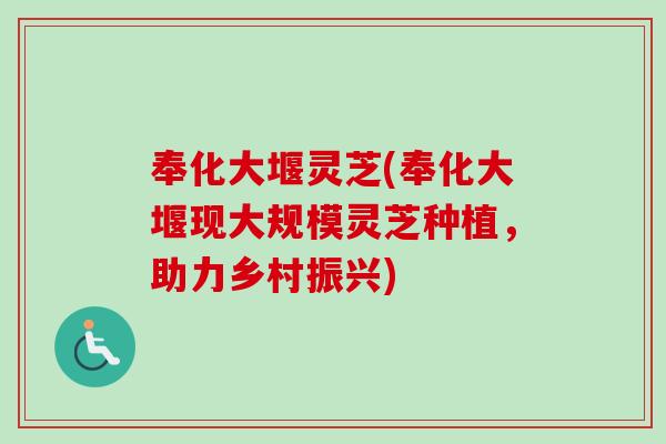 奉化大堰灵芝(奉化大堰现大规模灵芝种植,助力乡村振兴)-第1张图片-卓越灵芝孢子粉 奉化大堰灵芝(奉化大堰现大规模灵芝种植,助力乡村振兴)-第1张图片-卓越灵芝孢子粉