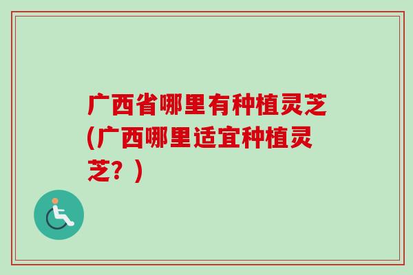 广西省哪里有种植灵芝(广西哪里适宜种植灵芝?)-第1张图片-卓越灵芝孢子粉 广西省哪里有种植灵芝(广西哪里适宜种植灵芝?)-第1张图片-卓越灵芝孢子粉