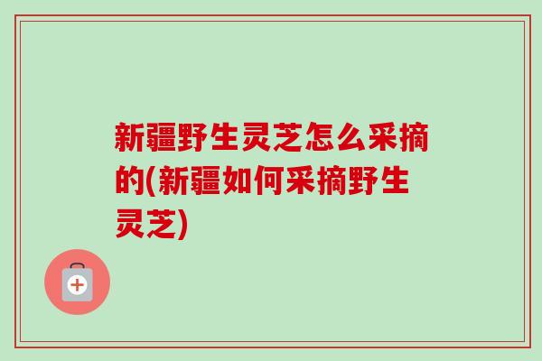 新疆野生灵芝怎么采摘的(新疆如何采摘野生灵芝)-第1张图片-卓越灵芝孢子粉 新疆野生灵芝怎么采摘的(新疆如何采摘野生灵芝)-第1张图片-卓越灵芝孢子粉