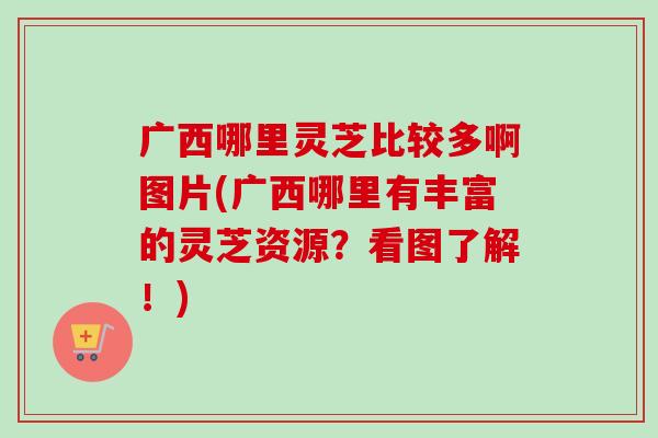 广西哪里灵芝比较多啊图片(广西哪里有丰富的灵芝资源?看图了解!)-第1张图片-卓越灵芝孢子粉 广西哪里灵芝比较多啊图片(广西哪里有丰富的灵芝资源?看图了解!)-第1张图片-卓越灵芝孢子粉