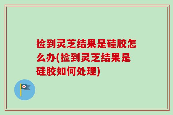捡到灵芝结果是硅胶怎么办(捡到灵芝结果是硅胶如何处理)-第1张图片-卓越灵芝孢子粉 捡到灵芝结果是硅胶怎么办(捡到灵芝结果是硅胶如何处理)-第1张图片-卓越灵芝孢子粉