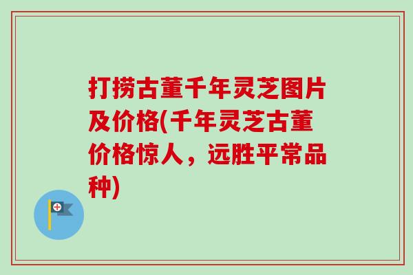 打捞古董千年灵芝图片及价格(千年灵芝古董价格惊人,远胜平常品种)-第1张图片-卓越灵芝孢子粉 打捞古董千年灵芝图片及价格(千年灵芝古董价格惊人,远胜平常品种)-第1张图片-卓越灵芝孢子粉
