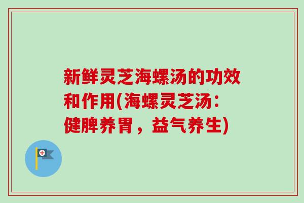新鲜灵芝海螺汤的功效和作用(海螺灵芝汤：健脾养胃，益气养生)-第1张图片-卓越灵芝孢子粉