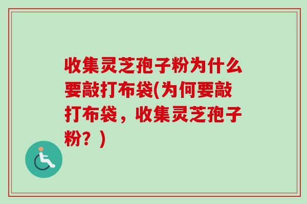 收集灵芝孢子粉为什么要敲打布袋(为何要敲打布袋,收集灵芝孢子粉?)-第1张图片-卓越灵芝孢子粉 收集灵芝孢子粉为什么要敲打布袋(为何要敲打布袋,收集灵芝孢子粉?)-第1张图片-卓越灵芝孢子粉