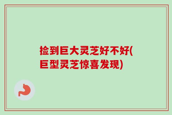 捡到巨大灵芝好不好(巨型灵芝惊喜发现)-第1张图片-卓越灵芝孢子粉 捡到巨大灵芝好不好(巨型灵芝惊喜发现)-第1张图片-卓越灵芝孢子粉