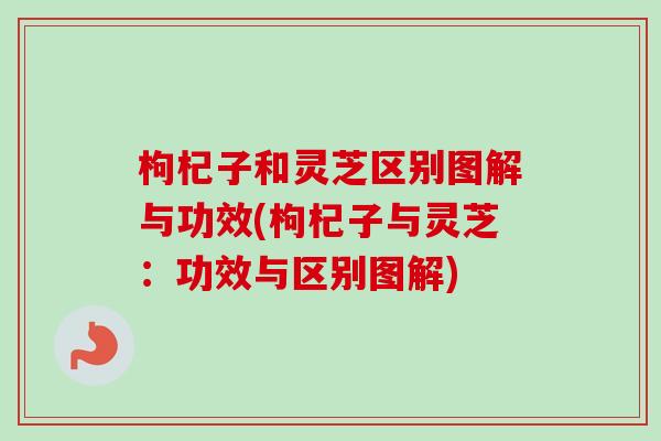 枸杞子和灵芝区别图解与功效(枸杞子与灵芝:功效与区别图解)-第1张图片-卓越灵芝孢子粉 枸杞子和灵芝区别图解与功效(枸杞子与灵芝:功效与区别图解)-第1张图片-卓越灵芝孢子粉