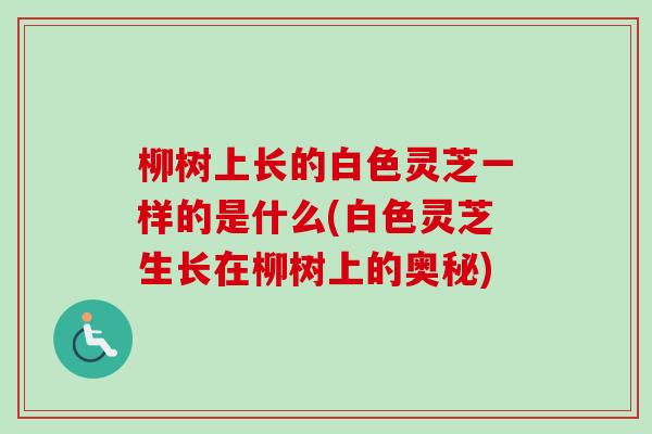柳树上长的白色灵芝一样的是什么(白色灵芝生长在柳树上的奥秘)-第1张图片-卓越灵芝孢子粉