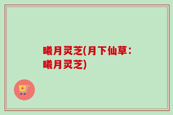 曦月灵芝(月下仙草:曦月灵芝)-第1张图片-卓越灵芝孢子粉 曦月灵芝(月下仙草:曦月灵芝)-第1张图片-卓越灵芝孢子粉