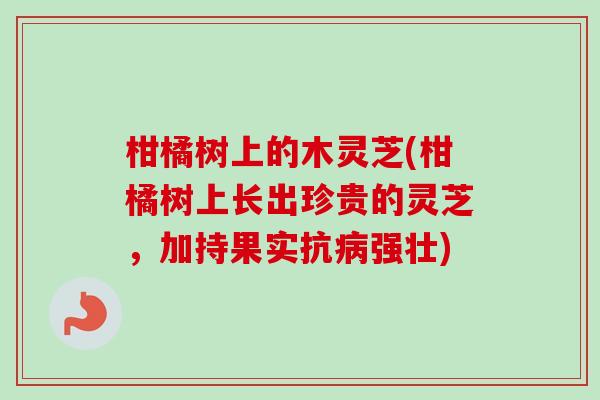 柑橘树上的木灵芝(柑橘树上长出珍贵的灵芝,加持果实抗病强壮)-第1张图片-卓越灵芝孢子粉 柑橘树上的木灵芝(柑橘树上长出珍贵的灵芝,加持果实抗病强壮)-第1张图片-卓越灵芝孢子粉
