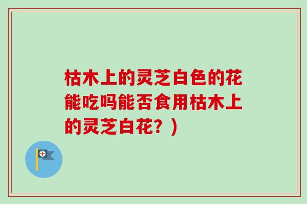 枯木上的灵芝白色的花能吃吗能否食用枯木上的灵芝白花?)-第1张图片-卓越灵芝孢子粉 枯木上的灵芝白色的花能吃吗能否食用枯木上的灵芝白花?)-第1张图片-卓越灵芝孢子粉