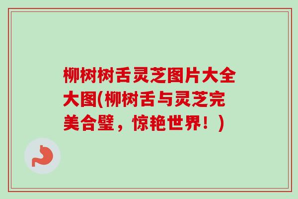 柳树树舌灵芝图片大全大图(柳树舌与灵芝完美合璧,惊艳世界!)-第1张图片-卓越灵芝孢子粉 柳树树舌灵芝图片大全大图(柳树舌与灵芝完美合璧,惊艳世界!)-第1张图片-卓越灵芝孢子粉